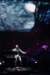 notis2013_049_small.jpg
